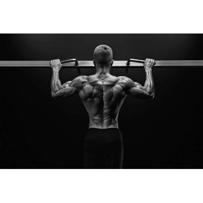 Fototapete PAPERMOON "Fitness Mann", bunt, B:2,5m L:1,86m, Vlies, Tapeten