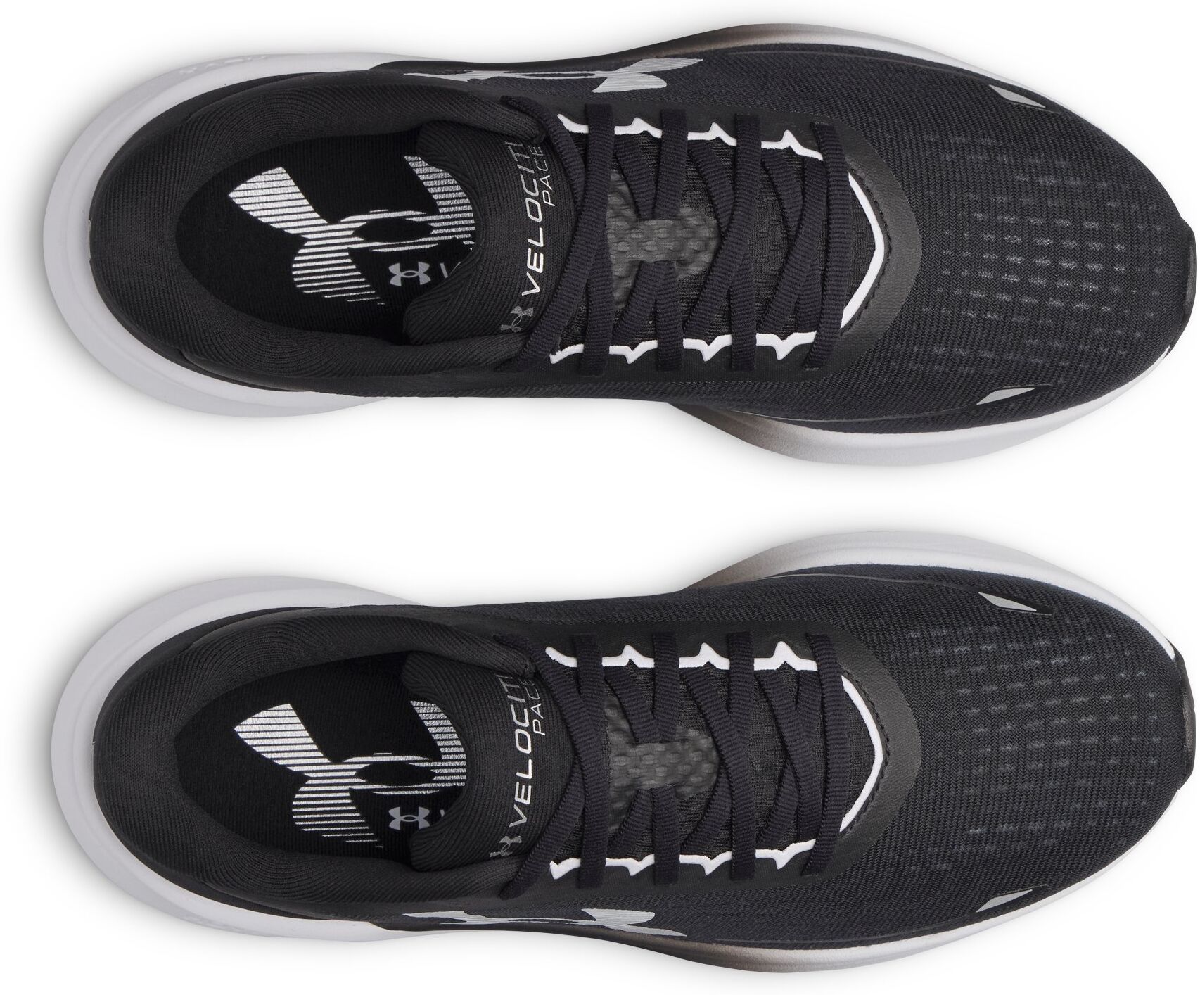 Laufschuh UNDER ARMOUR "UA VELOCITI PACE", Herren, Gr. 46, schwarz-weiss (schwarz, weiß, weiß), Synthetik, Textil, Schuhe Laufschuh, für regelmässiges Lauftraining mit leichtem, schnellem Laufgefühl schwarz, weiß, weiß 46