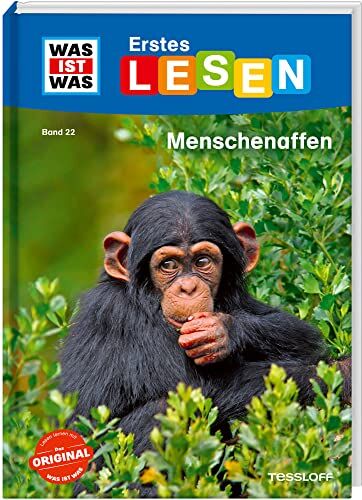 Christina Braun - WAS IST WAS Erstes Lesen Band 22. Menschenaffen / Extragroße Schrift und leichter Satzbau / Für Leseanfänger ab der 2. Klasse - Preis vom 09.10.2026 07:28:09 h