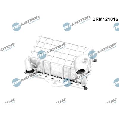 DR.MOTOR AUTOMOTIVE Ölkühler, Motoröl DRM121016