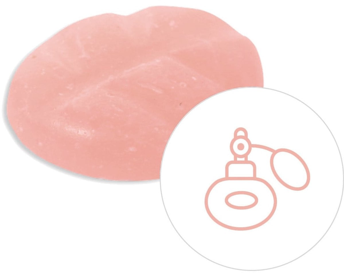 Scentchips Invincible Geurblokjes - Huisparfum Waxmelts - 8 stuks