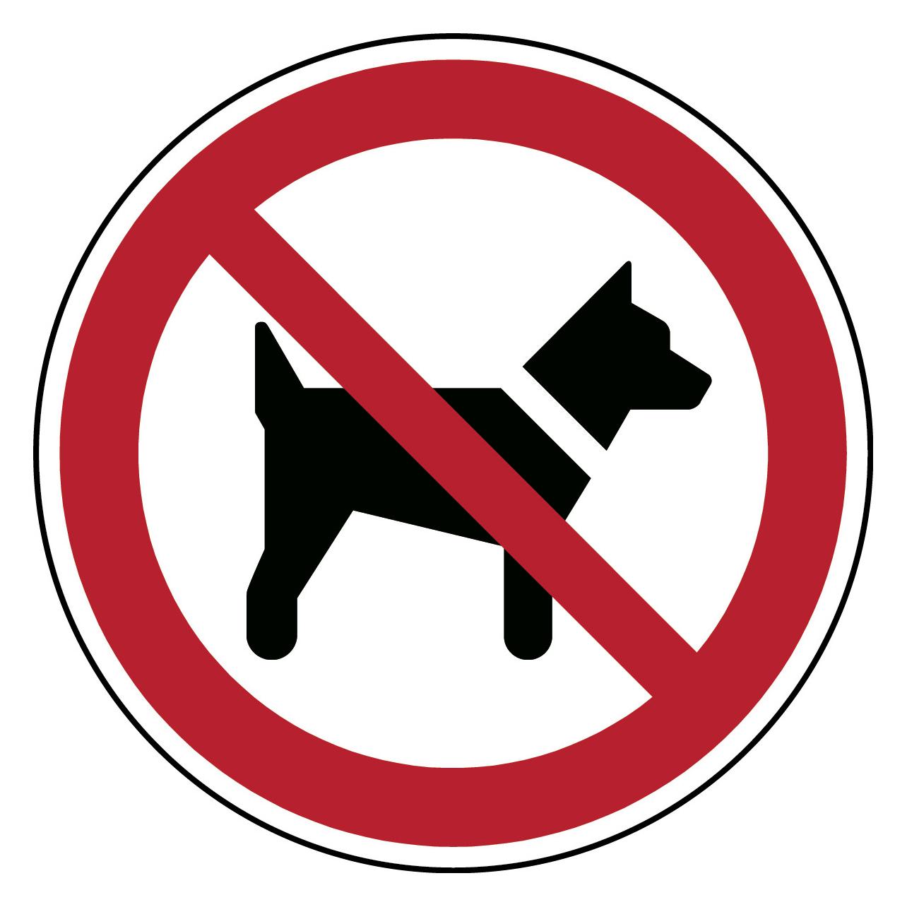 Brady ISO-Sicherheitsschild - Mitführen von Hunden verboten (PIC P021-DIA 100-PE-CRD/1)