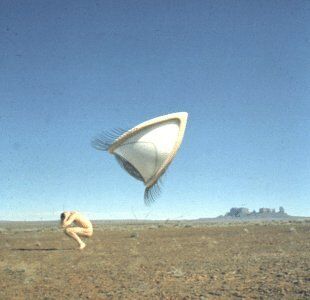 the Cranberries - Bury the Hatchet - Preis vom 09.10.2026 07:28:09 h