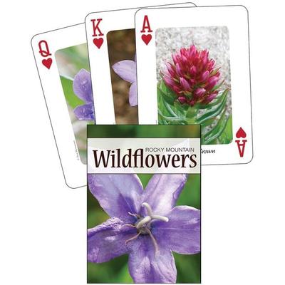 Wildflowers Of The Rocky Mount
