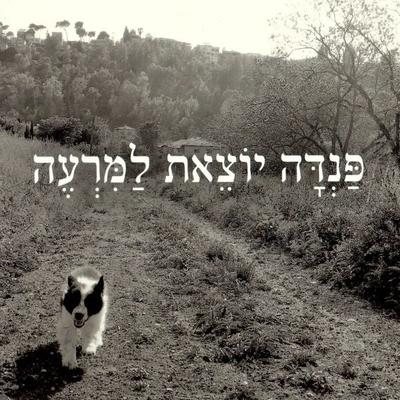 פנדה יוצאת למרעה - Meir Shalev, Audio, 9789152185049