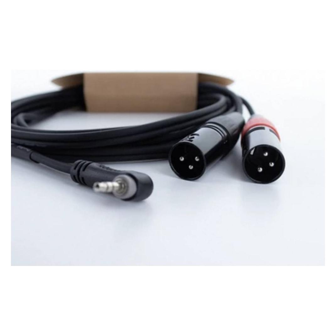 Cordial EY 1,5 WRMM XLR Y-Adapter (1x Klinkenstecker 3.5 mm - 2x XLR-Stecker 3 p (14874)