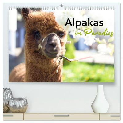 Alpakas im Paradies (hochwertiger Premium Wandkalender 2027 DIN A2 quer), Kunstdruck in Hochglanz