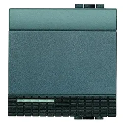 BTicino L4915/2 LivingLight Wippe 2M Anthrazit