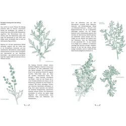 Absinth, Ratgeber von Tamara Berger, Tania Brasseur Wibaut
