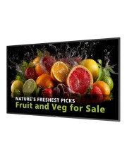 Philips 55?D-Line FHD 24/7 L/P 600cd android 14 (55BDL5050D/00)