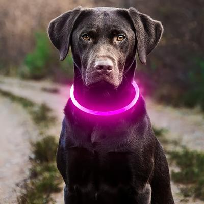 Discount Dollar Deals USB Rechargeable LED Dog Collar For Night Safety And Visibility pink s