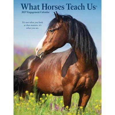 What Horses Teach Us 2027 6.5 X 8.5 Engagement Calendar