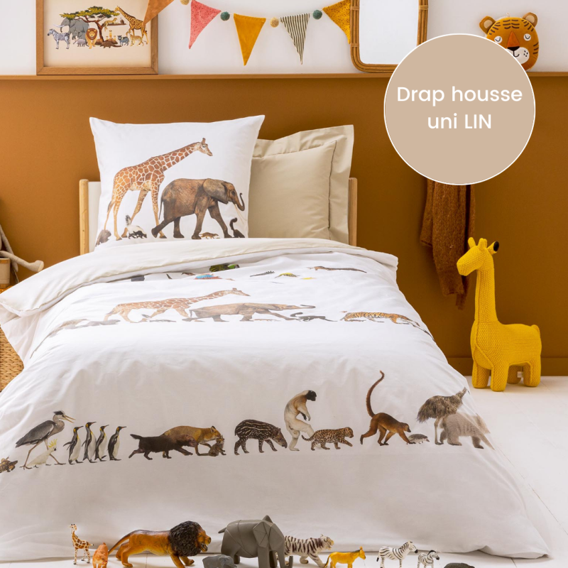 Drap housse percale Tradilinge uni LIN (Noé) (Couleur : Lin)