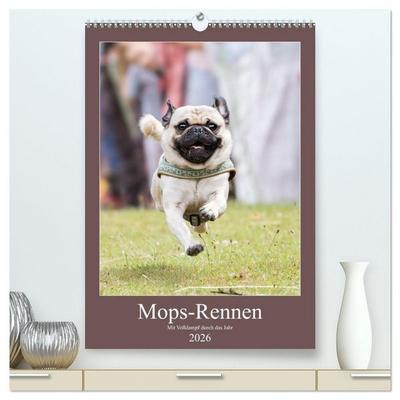 Mops-Rennen (hochwertiger Premium Wandkalender 2026 DIN A2 hoch), Kunstdruck in Hochglanz