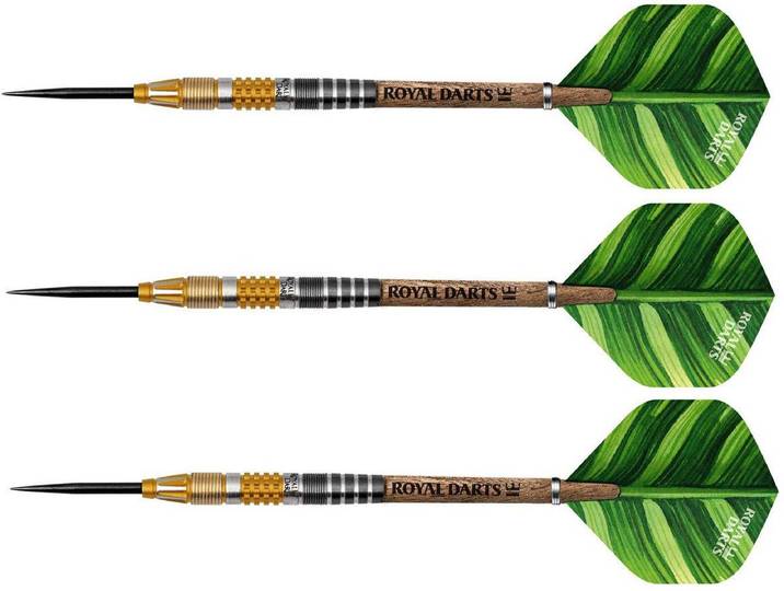 Royal Darts steeltip dartpijlen Green Line 21 gram NT95 precisie.