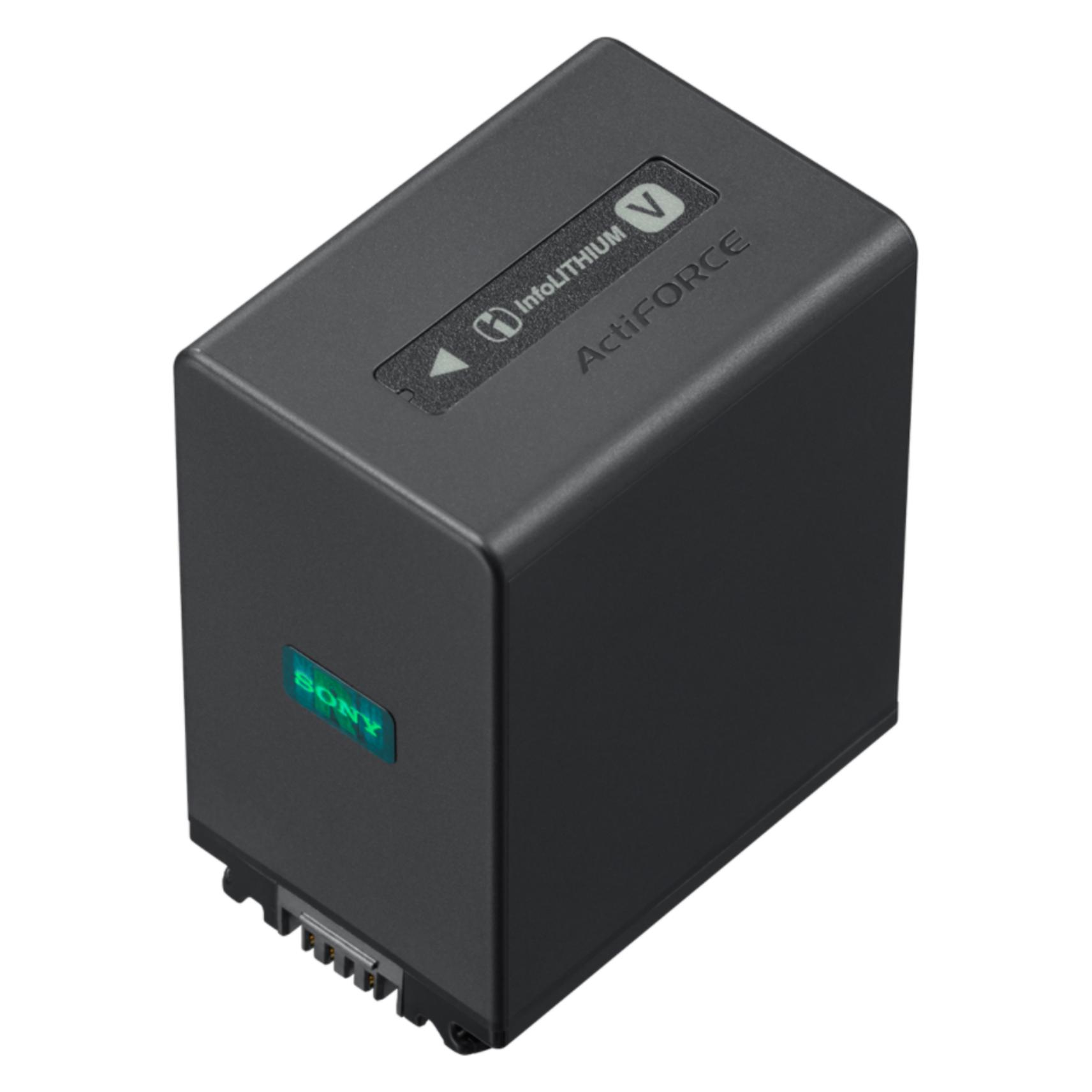 Sony Np-Fv100a (Kamera Akku) (NP-FV100A)