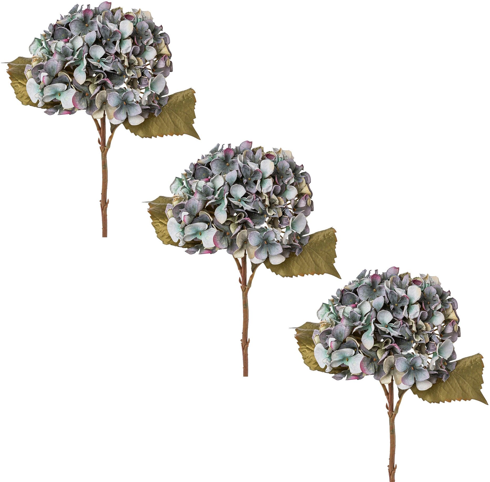 Creativ green "Hortensie"