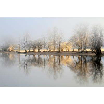 Fototapete PAPERMOON "Photo-Art BOR, JANUAR MORGEN", grau (bunt), B:4,5m L:2,8m, Vlies, Tapeten