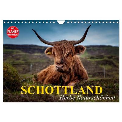 Schottland. Herbe Naturschönheit (Wandkalender 2027 DIN A4 quer), CALVENDO Monatskalender