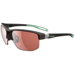 evil eye elate.t e019