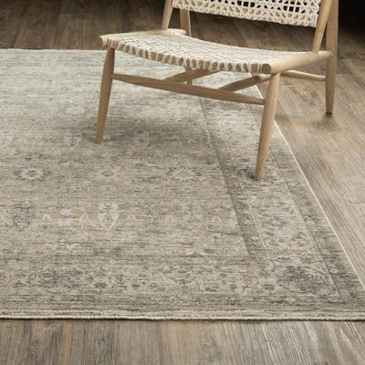 Style Haven Amira Distressed Traditional Beige/ Grey Area Rug