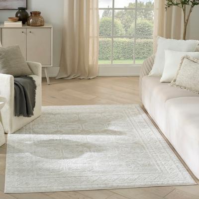 Nourison Dekor Indoor only Moroccan Area Rug