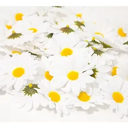 Streu-Margeriten, 5,5 cm Ø, 50 Stück