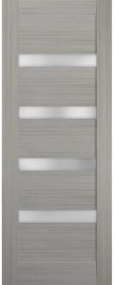 SARTODOORS Quadro 4113 Black Matte MDF Door Slab with Frosted Glass