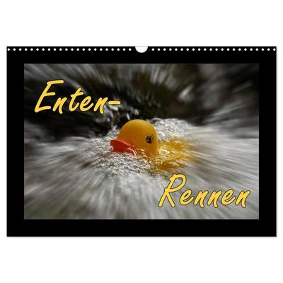 Enten-Rennen (Wandkalender 2026 DIN A3 quer), CALVENDO Monatskalender