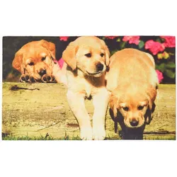 FUSSMATTE Hundewelpen, Gummi 45/76 cm