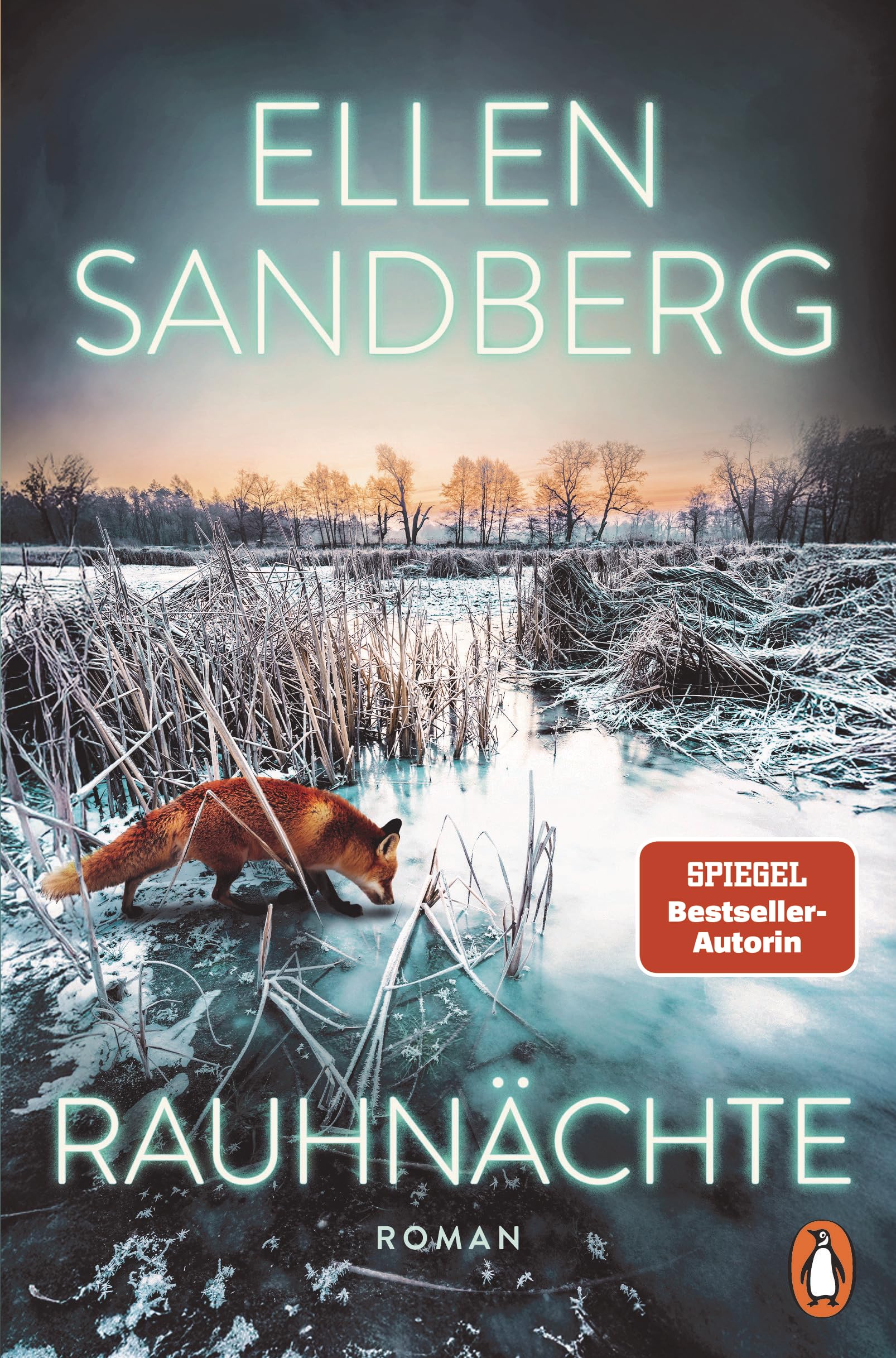 Ellen Sandberg - Rauhnächte: Thriller - Atmosphärische Spannung von der SPIEGEL-Bestsellerautorin - Preis vom 30.09.2026 09:01:18 h