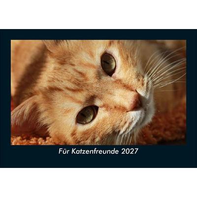 Für Katzenfreunde 2027 Fotokalender DIN A5