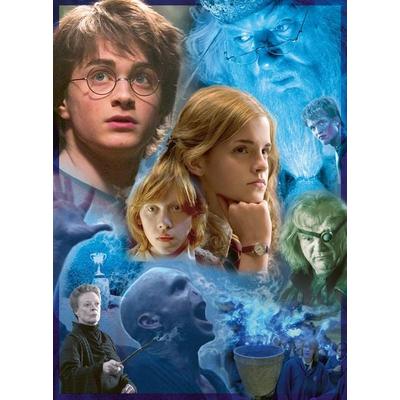 Erwachsenenpuzzle 500 Teile - Harry Potter in Hogwarts
