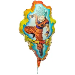 Chaks Dragon Ball (1x)