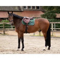 Sattel RS FiveStarPro S Springen