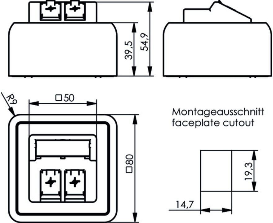 Telegärtner Modul-Aufnahme AP 80x80 2fach aws leer 100021382)