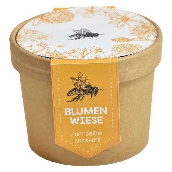 Wunderle Bienenwiese Pott (41733)