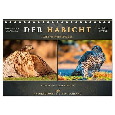 Der HABICHT - Geheimnisvolle Einblicke (Tischkalender 2027 DIN A5 quer), CALVENDO Monatskalender
