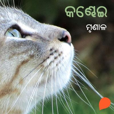 Kandhei - ମୃଣାଳ, Audio, 9789354343612