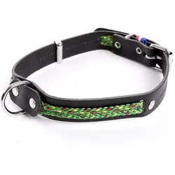 Martin Sellier Colorado (Hund), Halsband + Leine