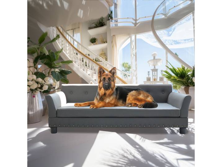BINGOPAW-Lit rectangulaire pour animaux de compagnie pour chiens moyens et grands, canapé-lit suréWerdurable, canapé confortable pour chien, canapé moderne pour chien