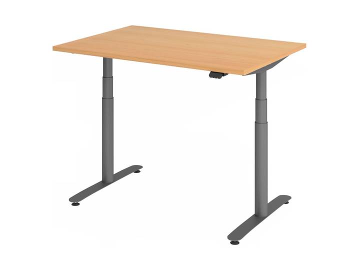 XDLR 12 G Schreibtisch 120 x 80 elektrisch höhenverstellbar Buche