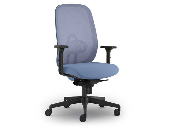 Fauteuil Ergonomique Cyprien - Avec Accoudoirs - Bleu