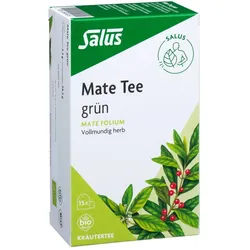 Mate Tee grün Kräutertee Mate folium bio Salus