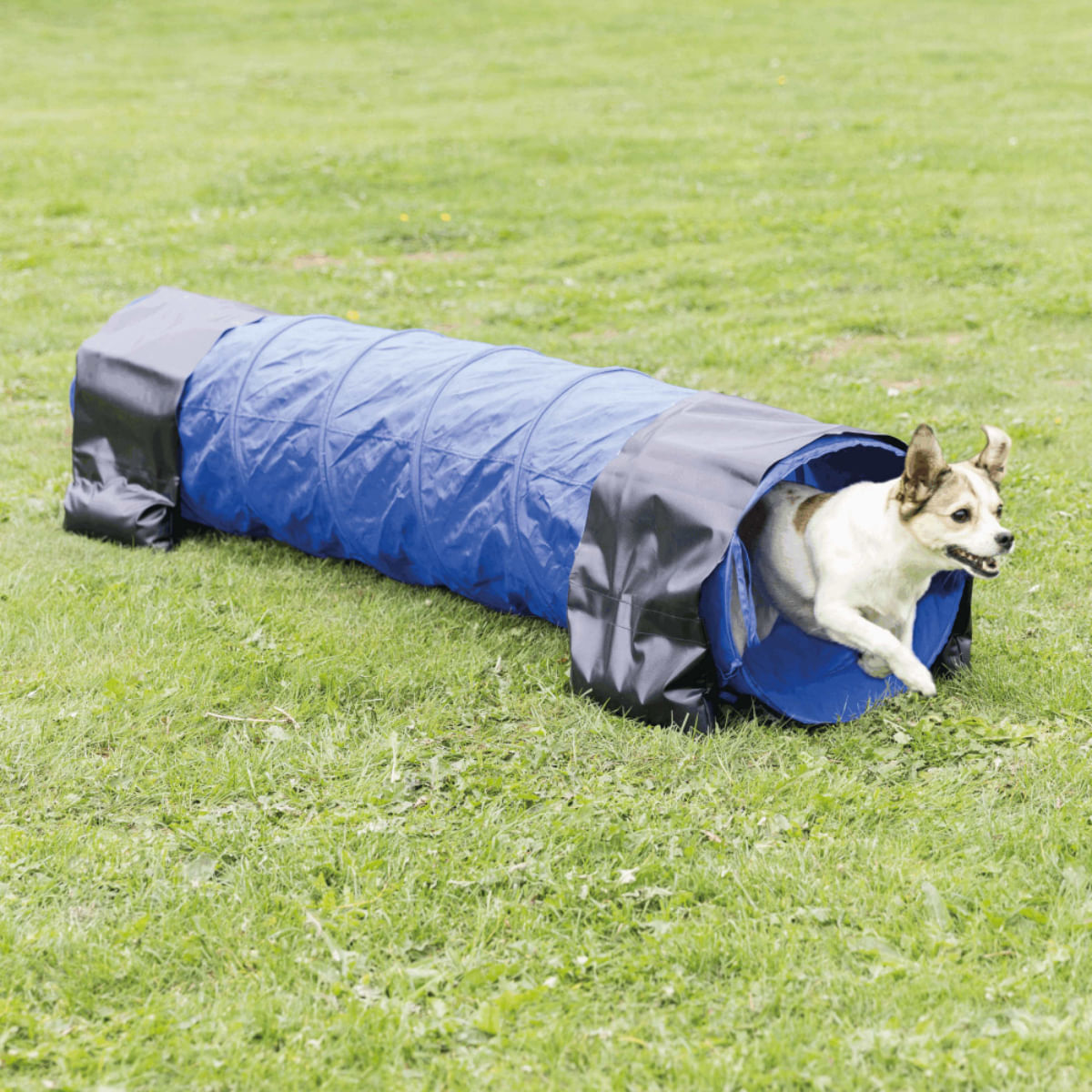 TRIXIE Tunnel Agility per Cane CM.200