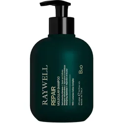 275ml Raywell B.io REPAIR Molecular Shampoo
