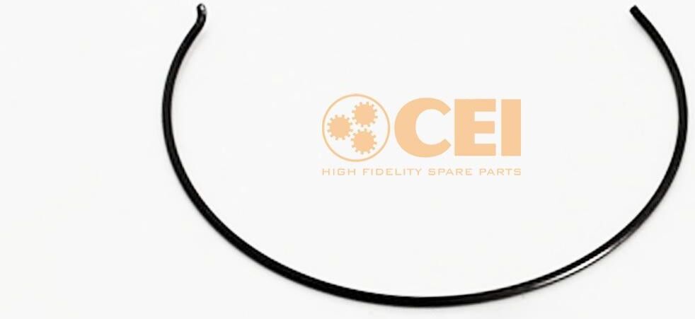 CEI 111.204 Spring