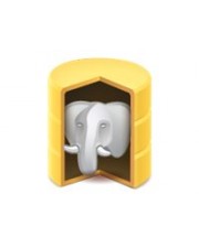 Devart ODBC Drivers for PostgreSQL Desktop Edition Abonnement Erneuerung 1 Jahr 1 ESD Win (300740926)