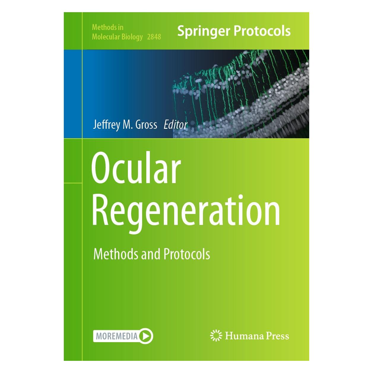 Springer Ocular Regeneration (Englisch, Hardcover, Jeffrey M. Gross) (9781071640869)