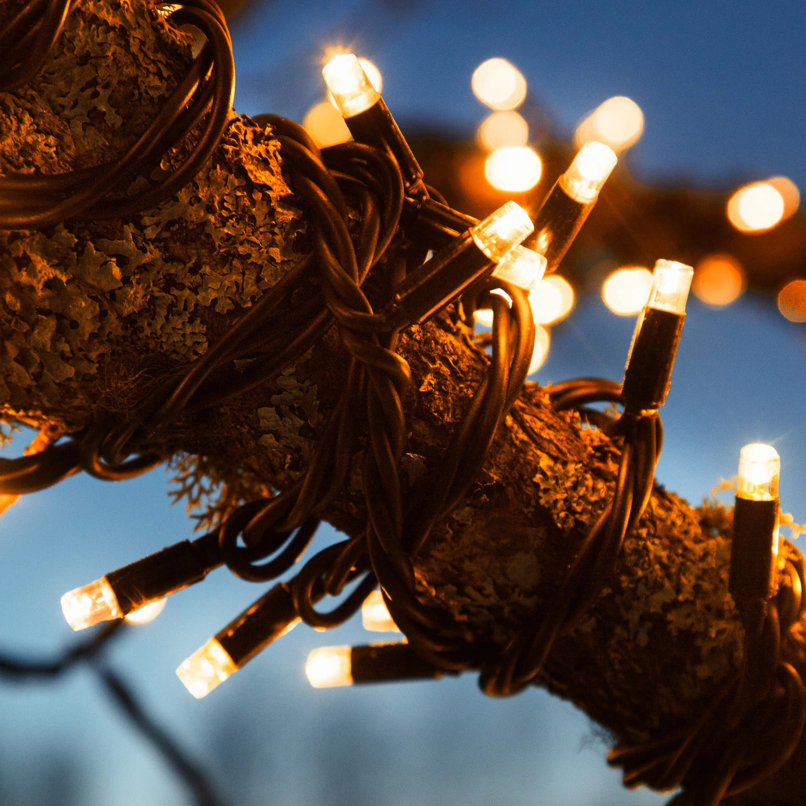 Markslöjd Chrissline Extra Original lichtketting met 50 amberkleurige leds